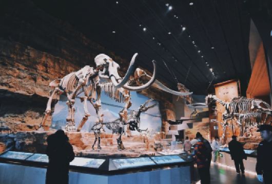 直隶总督署+保定军校纪念馆+西大街+中国古动物馆一日活动【一座总督衙署、半部清史写照】