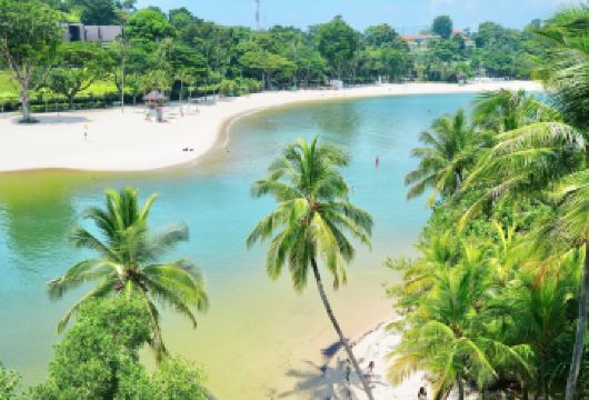 新加坡定制包车-鱼尾狮公园滨海湾花园圣淘沙等【市区上门接送】【专属线上管家服务+当地华人司机，给您专业的服务保障】