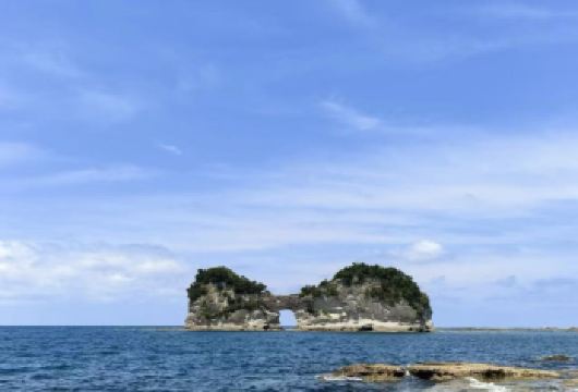 大阪： 和歌山+黑潮市场+白良滨【中文包车/行程可调】【专车出行 -随心旅行】