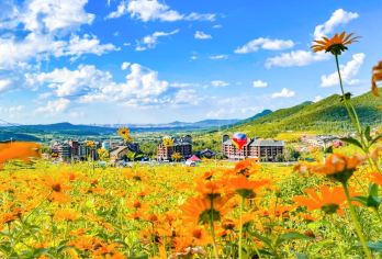 长春周边“东北小瑞士”万科松花湖度假区一日游【亲子休闲|专车接送|行程可调|可定制行程】