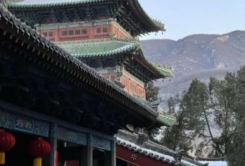 登封少林寺半日游【洛阳出发，含讲解耳麦】【游览禅宗祖庭[少林寺]】