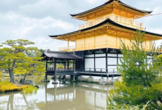 日本京都+奈良+伏见稻荷大社一日游/行程可调-可定制多日【包车一日游，解锁旅行新方式！独立车辆配备经验丰富的老司机，为您量身打造专属行程。】