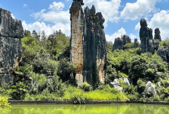 云南旅游昆明周边【石林】+【滇池】美食纯玩一日游【纯玩无购物】