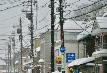 日本富良野青池+美瑛圣诞树【中文司机/可订多日】【免费量身定制行程，多日行程包车巨惠！详情可咨询客服人员！】