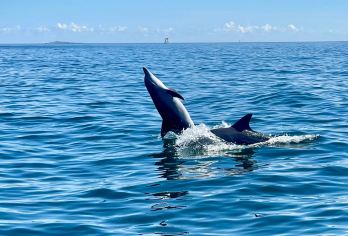 济州岛西南线一日游｜A、B、C线｜汉拿山｜出海海钓｜追海豚｜【挟才海水浴场 白色沙滩由贝壳粉末构成，与蔚蓝海水形成鲜明对比。沙滩延伸至海中的Z字形小岛及灯塔构成】