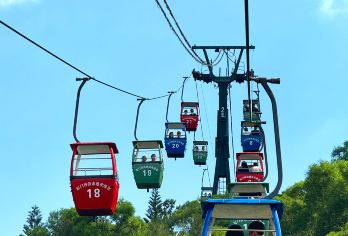 【秋冬特惠】钟鼓索道+厦门大学+南普陀+植物园或帆船一日游【[成团保障｜金牌导游]厦门本土旅行社，自营直发不转手，一人即成团，天天发班，金牌导游全程讲解贴心服务】