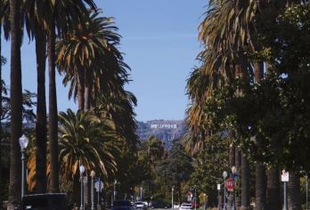 美国洛杉矶比佛利山庄+格里菲斯天文台+盖蒂中心-市区景点爽玩【专属客服和本地中文司机，一家一团包车】