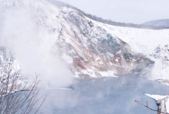 日本北海道+旭川动物园+旭山寺一日游/行程可调-可定制多日【包车一日游，解锁旅行新方式！独立车辆配备经验丰富的老司机，为您量身打造专属行程。】