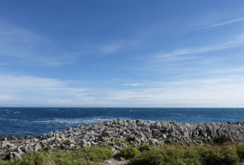 法国马赛-瓦伦索勒薰衣草-陶瓷小镇【中文专车-惬意舒适】【中文专车出行，行程自己定义，无需等待，专属贴心服务，尽享惬意旅程】