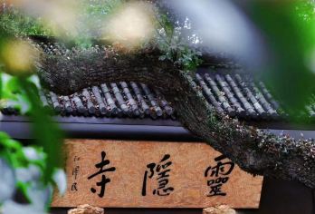 灵隐寺法喜寺祈福+法喜寺+灵隐寺 半日讲解员服务【人工深度讲解，悟佛教文化】