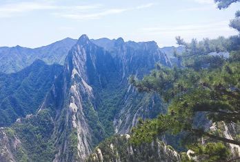 华山一日游 含门票索道小交通 亲子家庭游赠午餐登山手套水福带【1:品质保证，专业，靠谱，赠送登山三宝：手套+祈福袋+矿泉水】