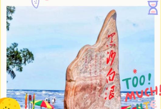 防城港白浪滩+萨维尔露营基地+怪石滩+白沙湾一日游（私家团）【纯玩、周末休闲、大海、沙滩、阳光、比基尼、日光浴、美女、婚纱照取景地】