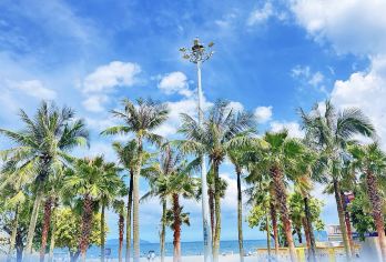 私家小团上门接送|深圳大梅沙+大芬油画村+甘坑古镇一日游【私家旅行：一单一团，不拼客，专属旅行； 品质服务：车上门接送，专职司机护航】