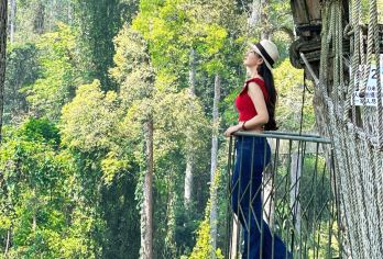 望天树景区一日游【3000+好评丨金牌导游讲解丨水陆空套票】【[实力对比]版纳实力地接品牌公司，累计服务超50K+人次，万人好评见证！】