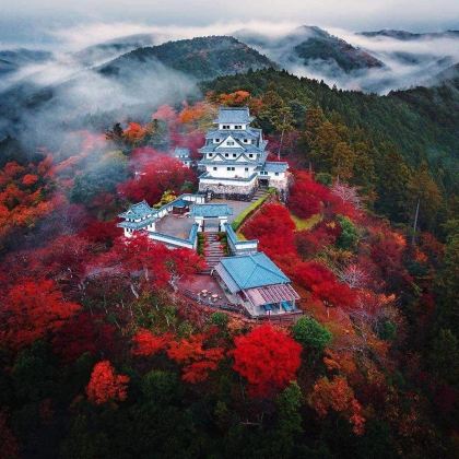 名古屋一日游|莫奈池&郡上八幡城&郡上八幡城下町&大滝鍾乳洞