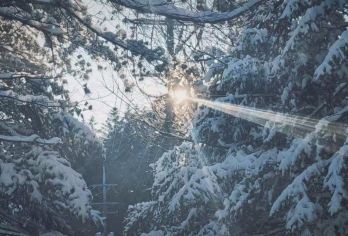 江原道赏雪一日游（咖啡雪景+悬崖寺庙）【市区内上门接】