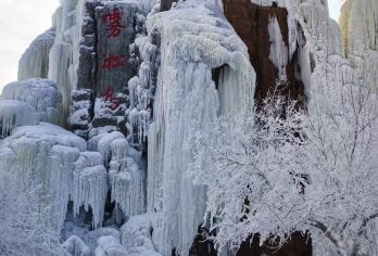 【吉林市起止】雾凇岛一日游~常规拼团/1~6人小团 天天发【雾凇岛，一个如诗如画、令人心驰神往的地方，它是中国大地上一颗璀璨的明珠，值得你一生至少！】