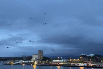 挪威奥斯陆市区或周边包车【北欧全线定制+多日优惠+中文司机】【专属私密，一家一团，尽享自在旅途。】