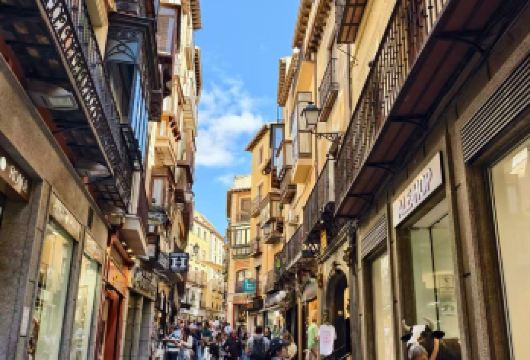 西班牙托莱多古城+古罗马水道桥【双城一日包车+中文免费定制】【专属私密，一家一团，尽享自在旅途。】