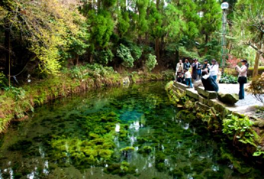 九州神话起源一日游：探秘高千穗峡+白川水源+天安河原/神社【探秘自然奇观：探访日本名水白川水源，游览壮丽的火山峡谷高千穗峡，感受纯粹的自然力量。】