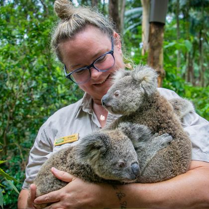 黄金海岸可伦宾动物园可选考拉＋热带水果世界/危险角一日游