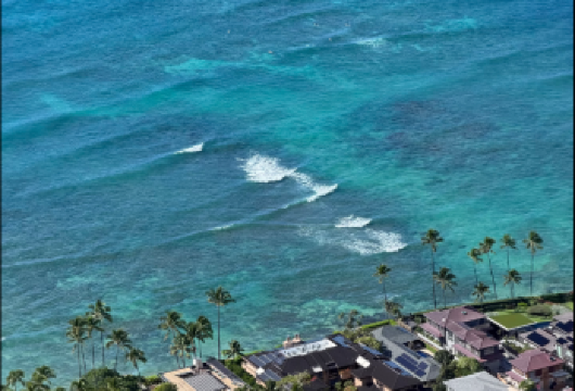 欧胡岛一日游 威基基海滩+恐龙湾+马诺阿瀑布-定制行程可调【[定制包车游]专享中文司机独立包车，市区范围酒店上门接送，行程路线可根据个人需求调整。】