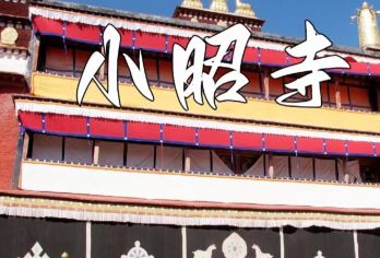 拉萨小昭寺一日游【一单一团包导游服务/金牌导游深度1H讲解】【[导游保障]本社提供专业持证上岗导游，传递藏文化知识！】