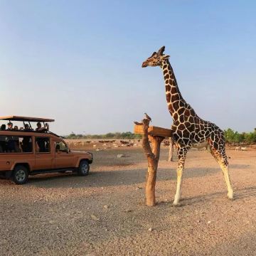 阿联酋艾因艾因动物园一日游【中文专车&定制行程&可多日】