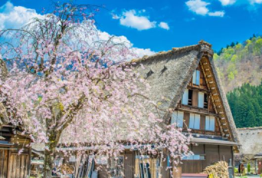 飞驒高山+白川乡一日游【含餐】【漫步在「飞驒小京都」高山古街，欣赏江户时代的风情，体验日本传统工艺。】