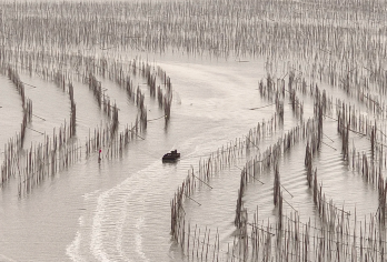 福建霞浦沙江S湾一日游【半月里、东安鱼排、浒屿澳村上门接送】【[服务保障] 严选正规资质车辆和司机+陪您追光逐影！ 一对一VIP专车服务/24小时行程管家服务！】