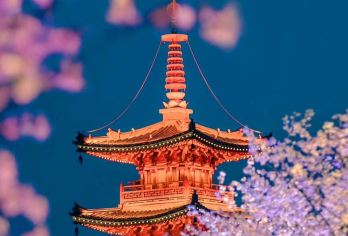 禅意与烟火：无锡-灵山大佛-拈花湾包车一日游 VIP小团EA【车接车送，专业地接团队。全天包车8小时，景点可调整，时间自由。】