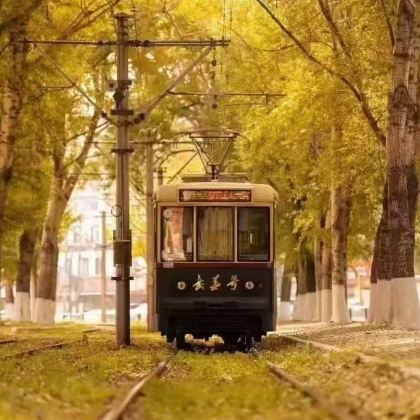 54路复古文旅专列一日游（电车博物馆+精讲+换装+热饮礼品）