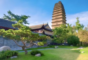 西安博物院+小雁塔一日游【含门票/150分钟讲解/无线耳麦】【2.5小时精品讲解，让您不虚此行】