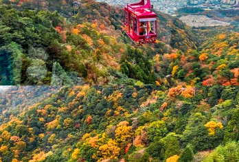 日本神户六甲山+有马温泉【中文包车/神户&大阪往返】【尊享一对一高端行程定制，多日豪华包车专属礼遇，专业旅行顾问24小时恭候垂询。】