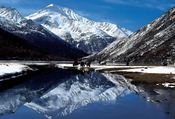 成都出发：海螺沟一日游（冰川、雾凇、温泉全体验）【可选英文导游|专车接送|行程可调|可定制行程】