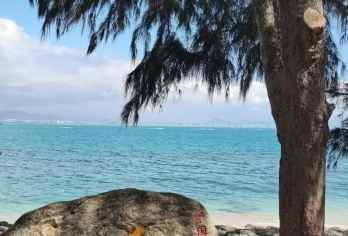 海南三亚南山寺+西岛+玫瑰谷 一日游【专业司机+优质服务+开心旅行】