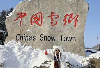 拼团游夜景、多套餐含大秃顶子山、冰雪画廊、雪乡门票雪乡一日游【个性化：4人以上可独立成团】