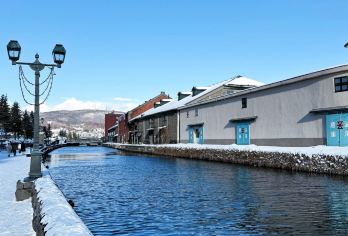 日本小樽/旭川/美瑛/富良野/洞爷湖/登别-札幌往返任选一日【专属客服和本地中文司机，一家一团包车】