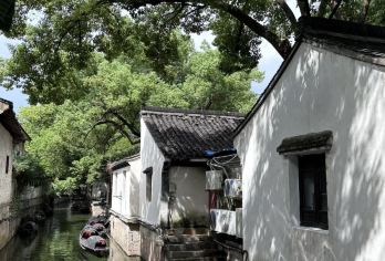 绍兴鲁迅故里+三味书屋+百草园+柯岩鉴湖纯玩无购物一日游【优选行程 畅游地标景点，寻国家宝藏，赏世界文化遗产，漫游古街感受此座老城慢时光。】