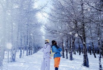 桦皮岭踏雪徒步1日【精华版8km徒步+新手友好+森林与雪景】【感受冬日浪漫】