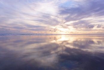 新西兰奥克兰小众美景-穆西克角滨海保护区  畅游南北岛【专属客服和本地中文司机，一家一团包车】