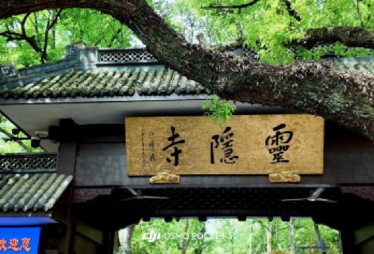 【文博大咖说】免排队含预约+上行索道+灵隐寺一日游大咖讲解【品质出游】