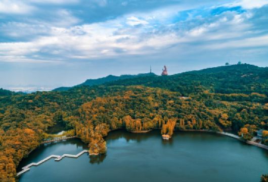 佛山祖庙+醒狮表演+岭南天地+西樵山一日【私家小团上门接送】【私家旅行：一单一团，不拼客，专属旅行； 品质服务：5座/7座车上门接送，专职司机护航】