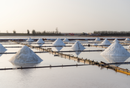 台南七股盐山+赤崁楼+安平古堡【台南出发】【这趟台南一日游您将穿越历史和文化，走访安平古堡与赤崁楼，欣赏殖民建筑并认识台湾历史发展故事。】
