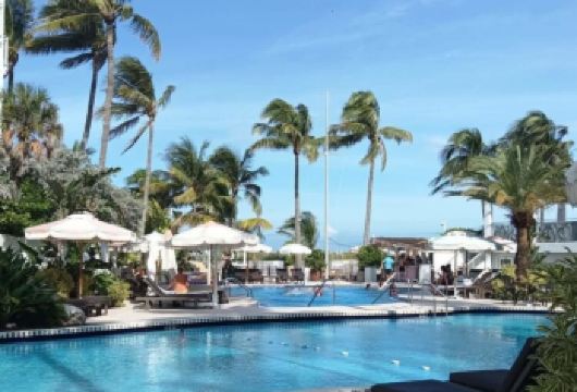 美国+迈阿密小哈瓦那+温尼伍德墙一日游/行程可调-可定制【包车一日游，解锁旅行新方式！独立车辆配备经验丰富的老司机，为您量身打造专属行程。】