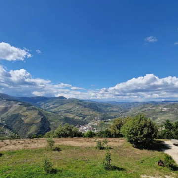 葡萄牙波尔图-杜罗河谷-皮尼扬品波特酒【中文专车-惬意舒适】