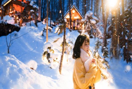 北海道一日游|旭川动物园+美瑛圣诞树+森林精灵台|可定制【漫步森林精灵阳台的雪灯小径，邂逅冬日童话里的浪漫光景】