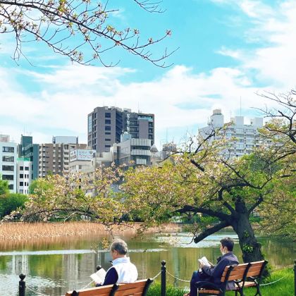 东大附近小众宝藏景点日游：东京大学-不忍池-上野公园-秋叶原