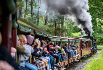 澳大利亚墨尔本普芬比利蒸汽火车+企鹅归巢一日游有位可接急【接急单/企鹅归巢/蒸汽小火车/市区接送/中文司导】