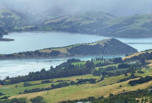 新西兰阿卡罗阿羊驼农场+看海豚｜基督城出发｜行程可调【尊享一对一高端行程定制，多日豪华包车专属礼遇，专业旅行顾问24小时恭候垂询。】